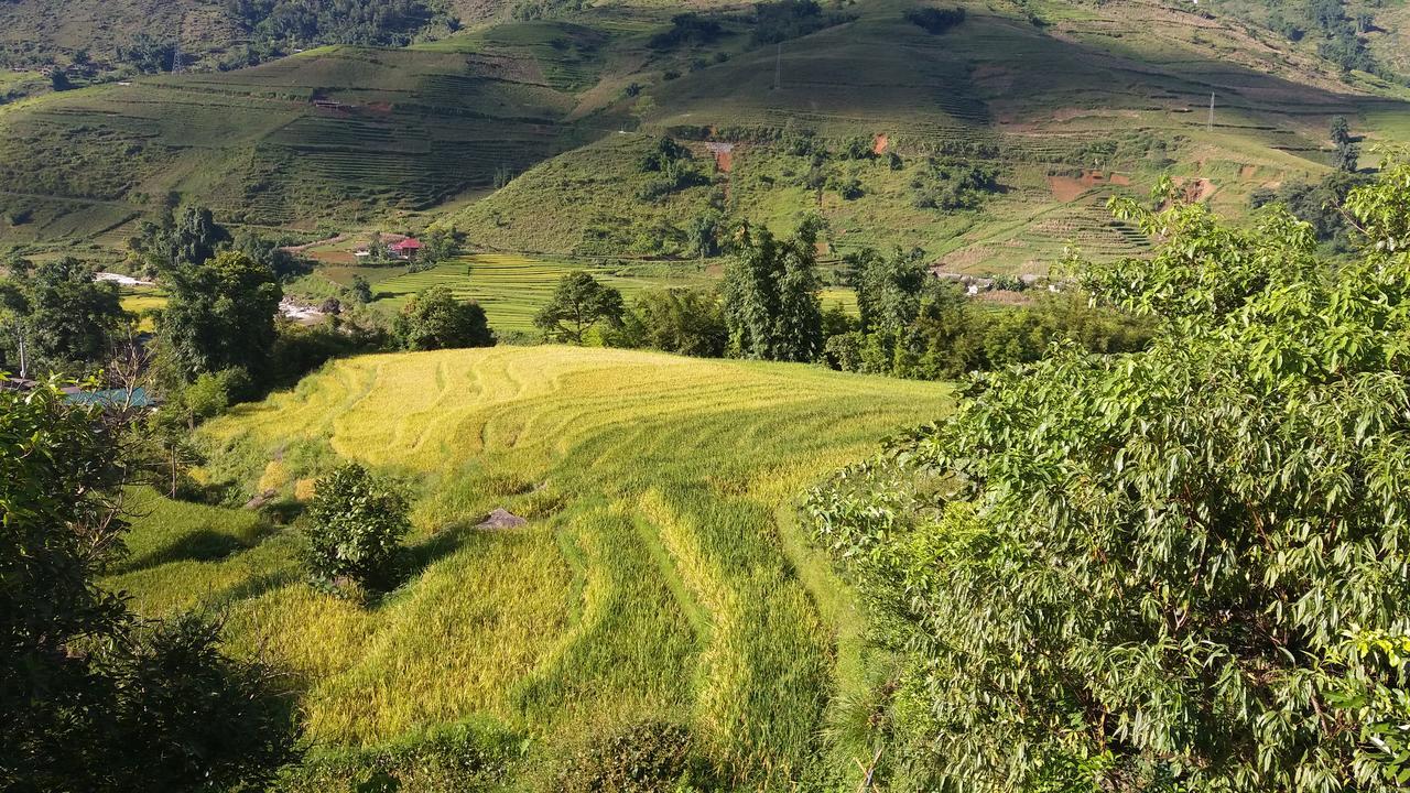 Ta Van Green Hills Homestay Сапа Екстериор снимка