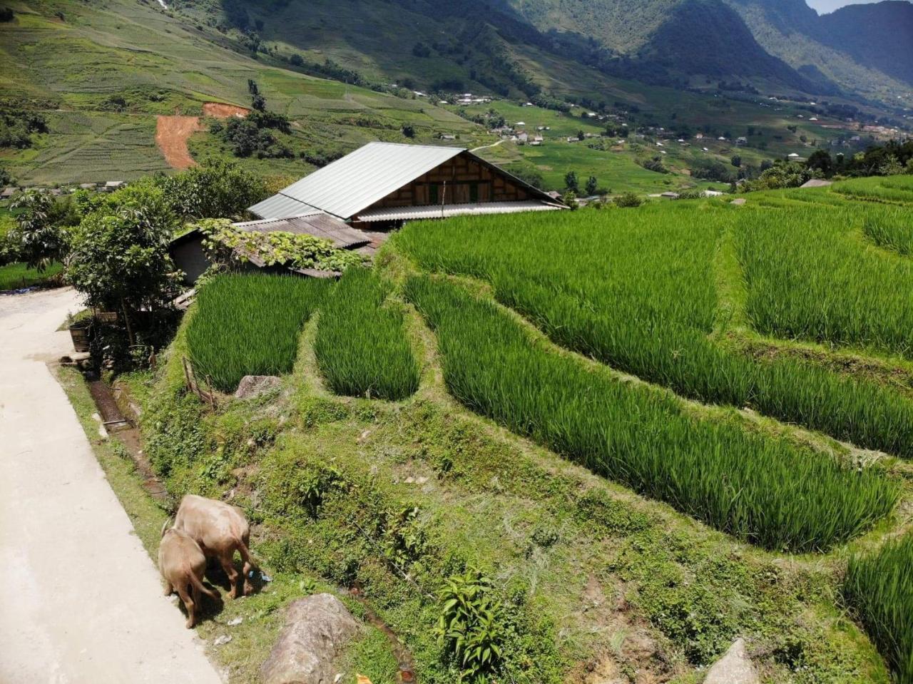 Ta Van Green Hills Homestay Сапа Екстериор снимка